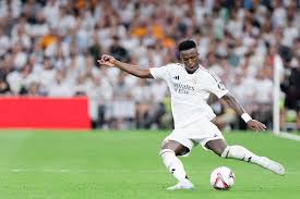 设立在青山 设立在青山